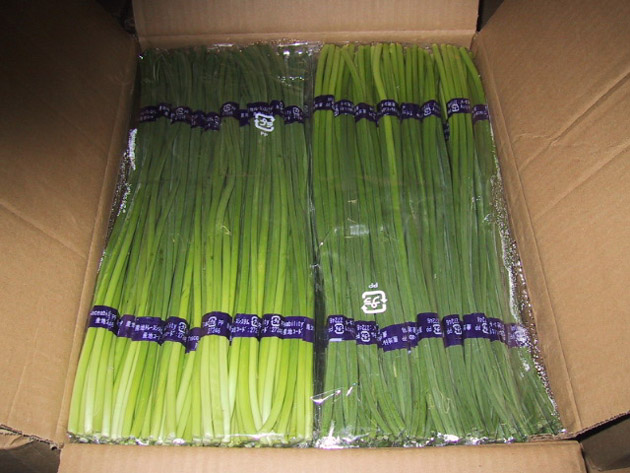 代购代存金乡大蒜蒜薹