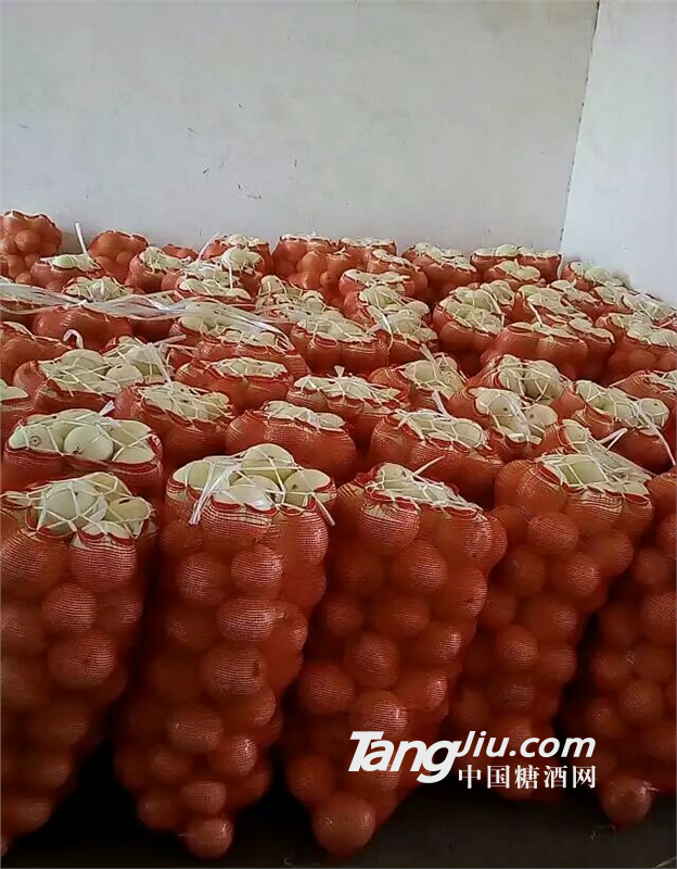 陕西省甜瓜价格白甜瓜大荔县甜瓜价格