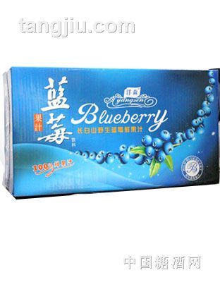洋森蓝莓果汁