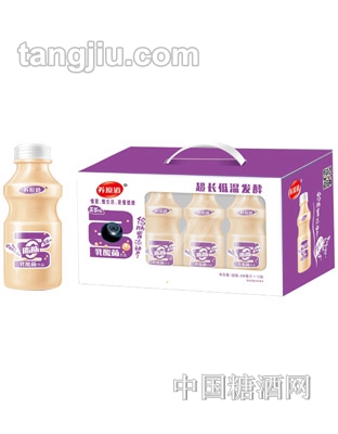 养原道蓝莓乳酸菌饮品
