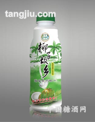 椰子故乡果肉椰子汁500g
