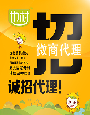 供应也村黄桃罐头