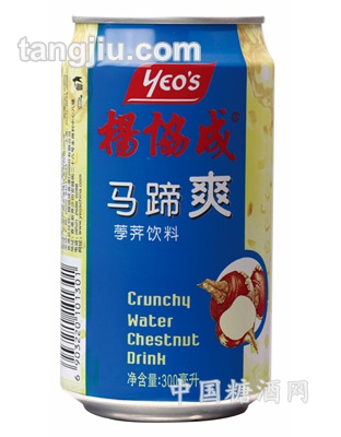 罐装马蹄爽300ml