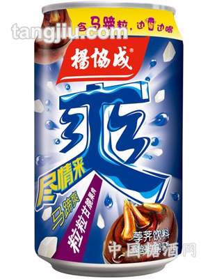 罐装cool马蹄爽300ml