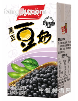 纸包装黑豆豆奶250ml