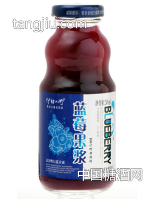 蓝莓果浆248ml