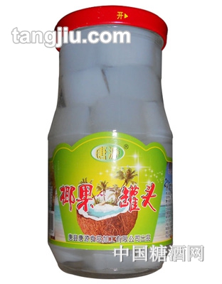 唐源椰果罐头长瓶罐