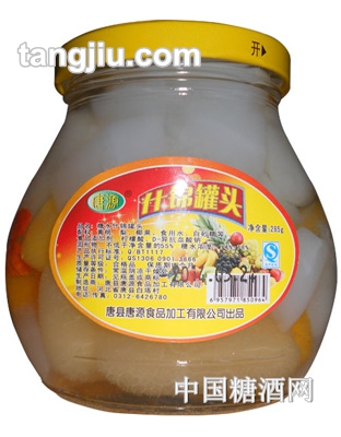 唐源什锦罐头285g