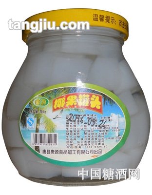 唐源椰果罐头285g