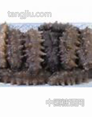 自发海参