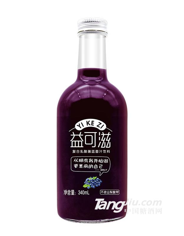 复合乳酸菌果汁（蓝莓味）-340ml