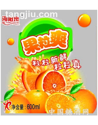 果粒爽果汁饮料600ml