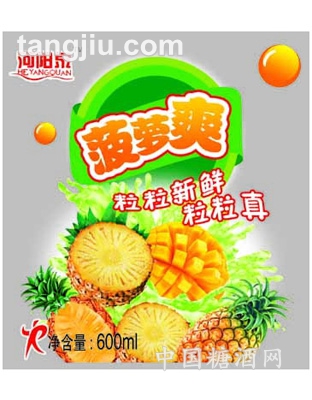 菠萝爽果汁饮料600ml