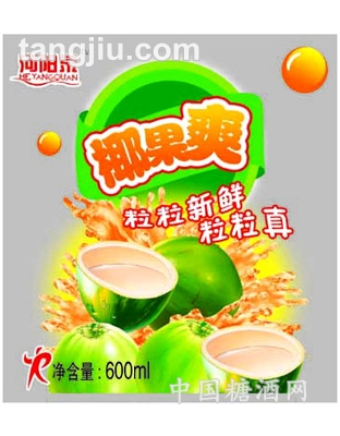 椰果爽果汁饮料600ml