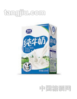 银桥纯牛奶250ml