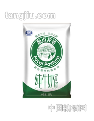 银桥原点牧场纯牛奶227g