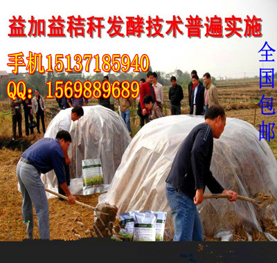 供应广东湛江梅州如何用青草发酵剂发酵红薯藤青草喂猪