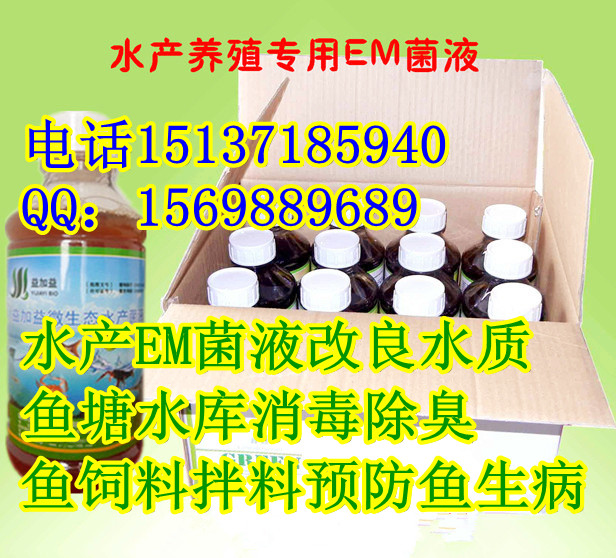 供应青海西宁吉林辽源哪里有用水产EM菌液养鱼虾养黄鳝