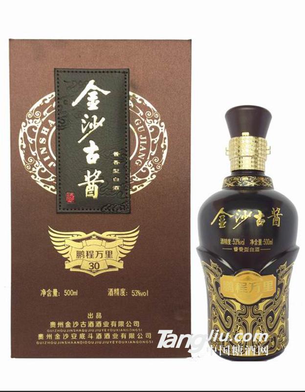 鹏程万里