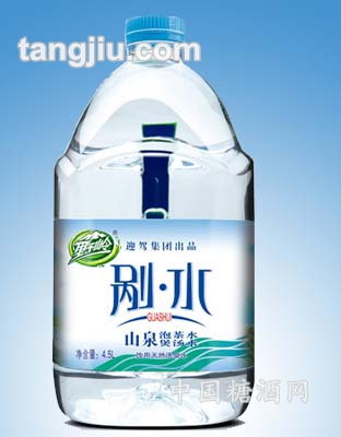 4.5L剐水