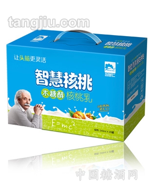 智慧核桃乳木糖醇-普通装