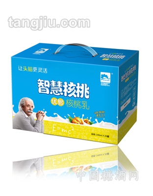 智慧核桃乳优智-普通装