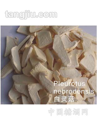 白灵菇