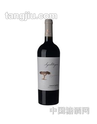 安帕塔瓜赤霞珠红葡萄酒