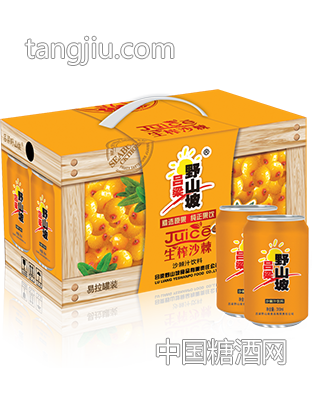 木纹沙棘汁310ml