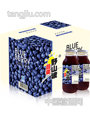 Q51蓝莓汁300ml