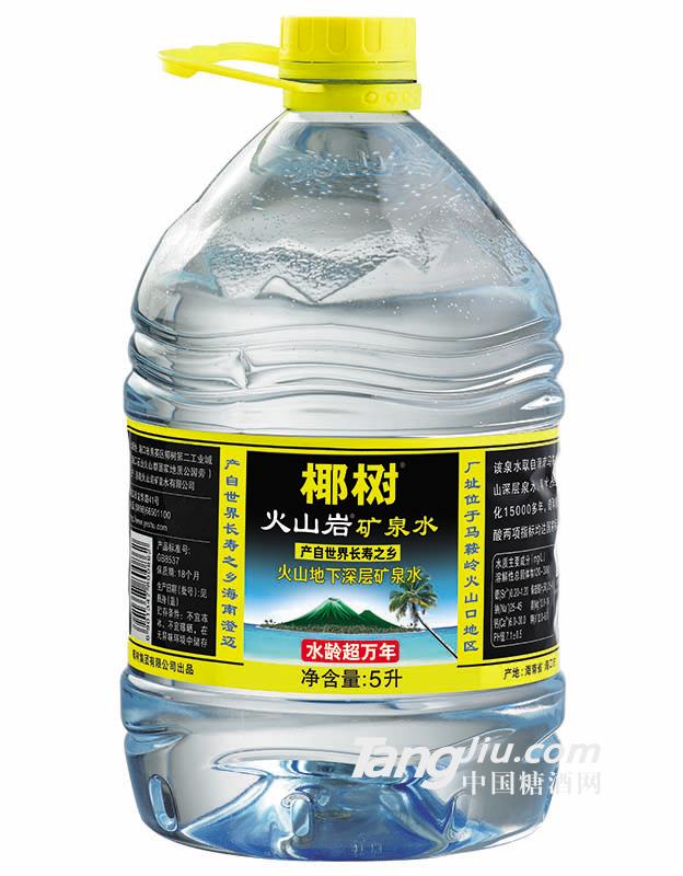 椰树牌火山岩矿泉水（5L*2）