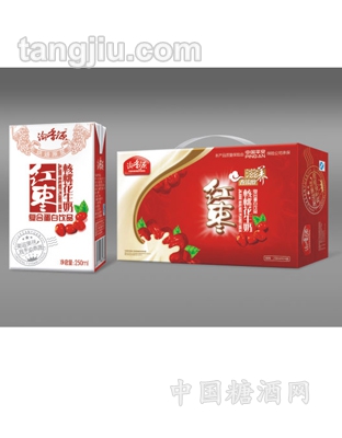 红枣核桃花生奶标准装