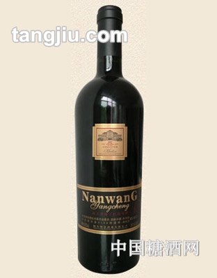 南王洋城酒庄干红葡萄酒
