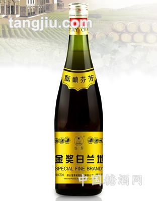 特种金奖白兰地750ml