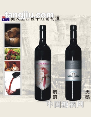 原瓶进口葡萄酒38