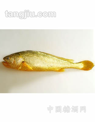 宁德大黄鱼