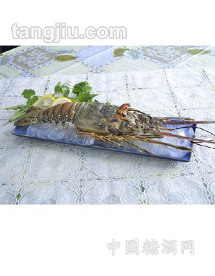 鲜速冻大龙虾