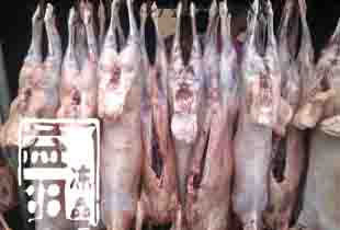 供应冷冻羊部位肉8号肉