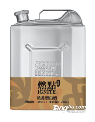 燃点邛酒版简装