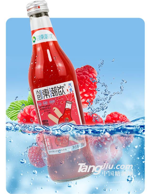 创东潮饮果汁汽水树莓味380ml
