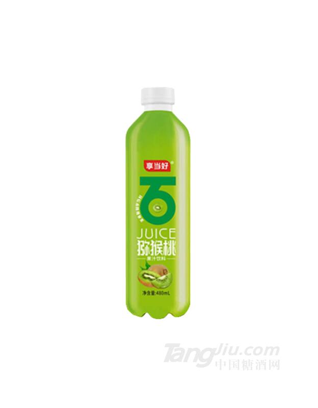 享当好猕猴桃果汁饮料480ml