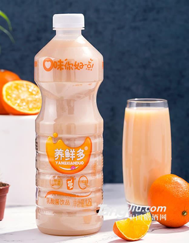养鲜多乳酸菌饮品甜橙味1.25L