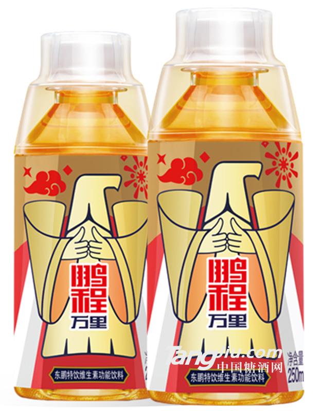 东鹏特饮 250ml瓶装