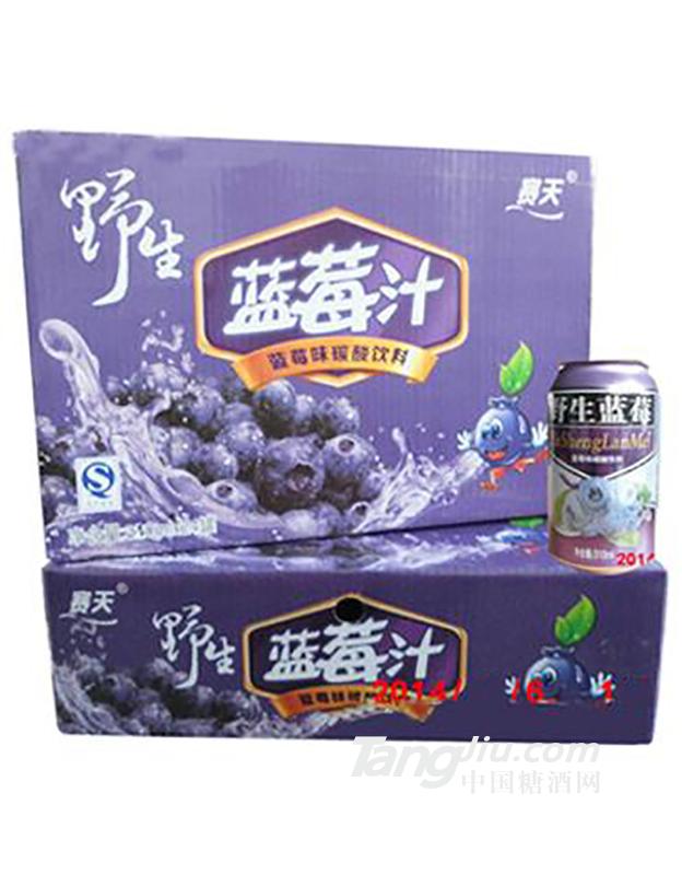 赛天野生蓝莓汁碳酸饮料