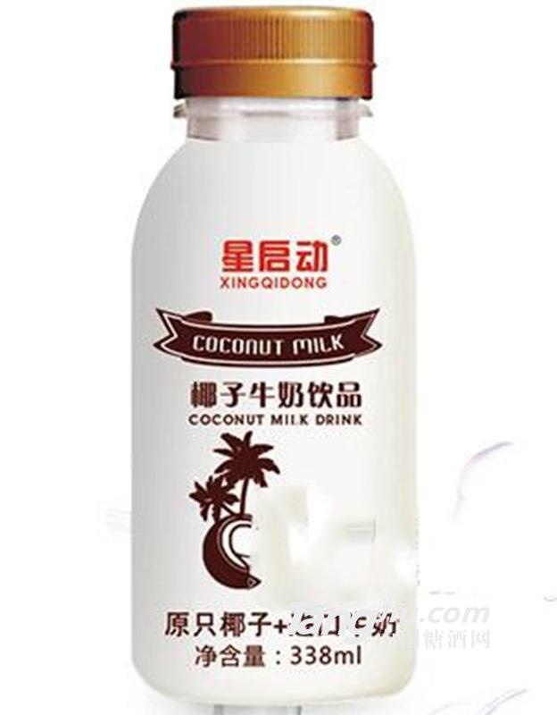 星启动椰子牛奶饮品338ml