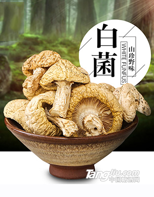 贡极石渠白菌50g