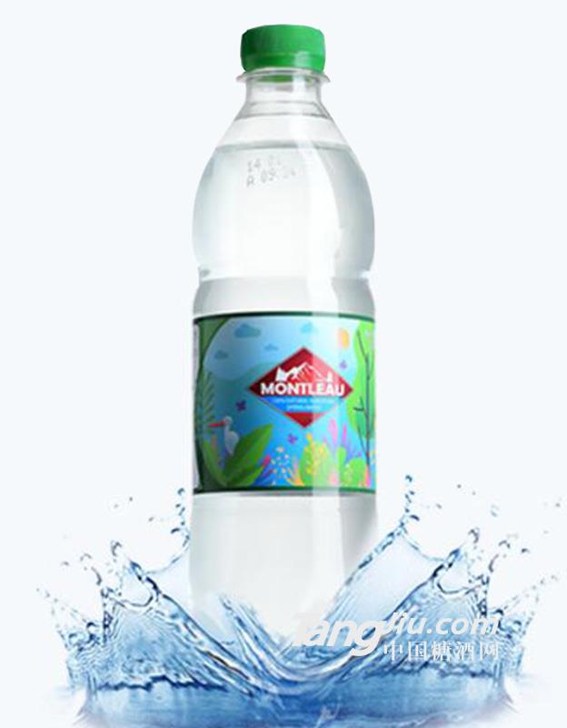 玛泷泉矿泉水