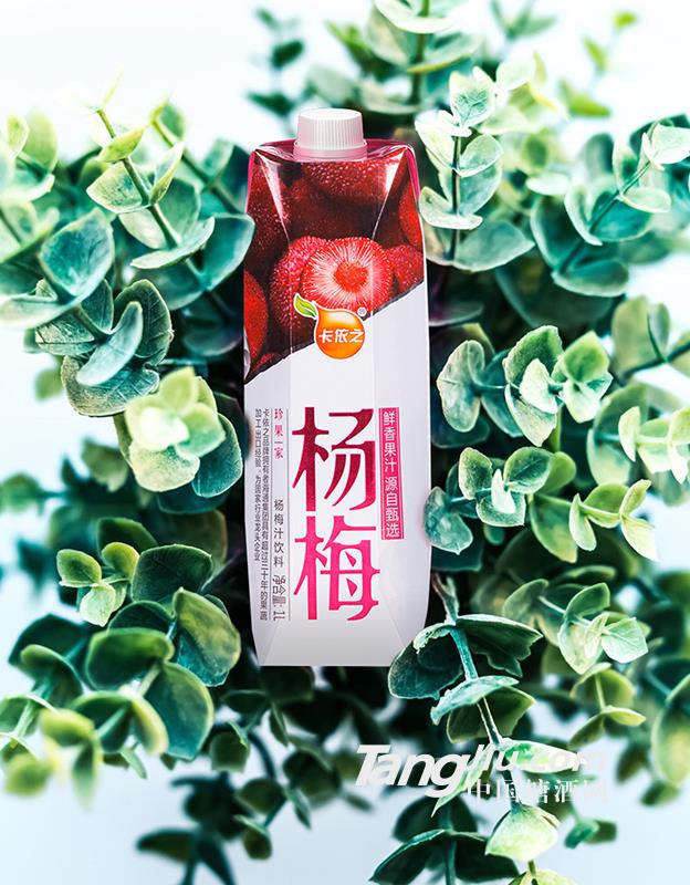 杨梅汁