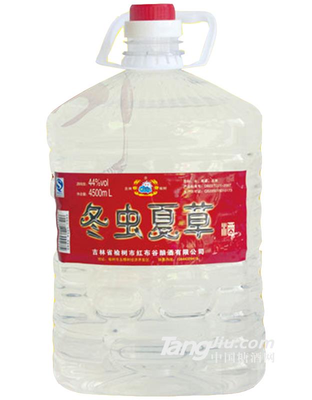 冬虫夏草