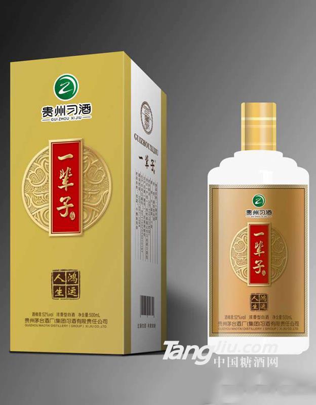 52°贵州习酒一辈子500ml